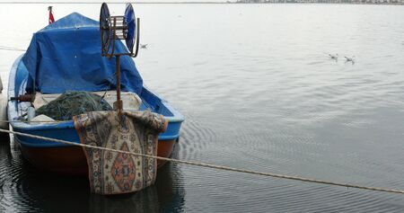 ठंडे मौसम में कौन-कौन सी भारतीय नदियों और तालाबों में मछली मिलती है?