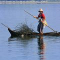 समुदाय-संचालित मत्स्य पालन परियोजनाएँ: युवाओं की नेतृत्वकारी भूमिकाएँ