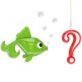 ट्राउट और महसीर मछली पकड़ने के लोकप्रिय स्थल: भारत के खास स्पॉट्स