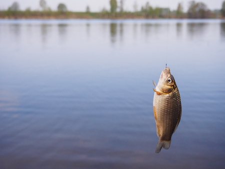 State-wise List of Protected Water Bodies, Sanctuaries & Restricted Areas in India