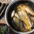 Regional Varieties of Traditional Fish Curry along the Malabar Coast