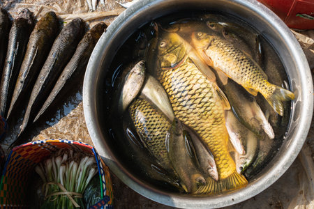 Regional Varieties of Traditional Fish Curry along the Malabar Coast