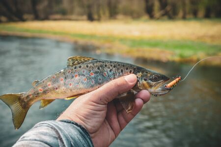 Monsoon Fishing Rules in India: Govt Ban & Regulations Explained
