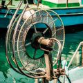 Economy & Sustainable Design: Testing Affordable Indian Fishing Rods & Reels