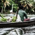 Desi Ways to Clean Fish Without Knife – Rural Indian Fish Cleaning Methods