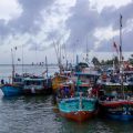 Fish Festivals and Community Fishing Traditions in India During Summer Months