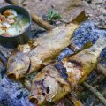 Famous Bengali Fish Curry Recipe – How to Make Authentic Macher Jhol at Home