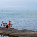 Link Between Commercial Fishing & Coastal Tourism in India