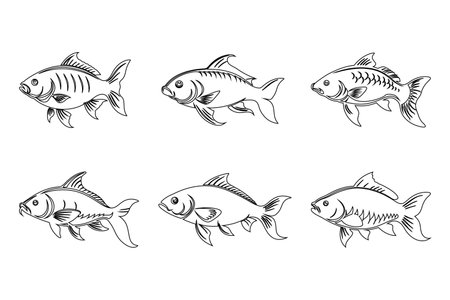 Cultural Significance of Angling in Parvati & Pabbar Rivers, Himachal Pradesh