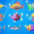 Fishing rules for foreigners in protected areas in India