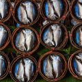 How to Create a Weather-Based Custom Fishing Calendar for Indian Fishermen