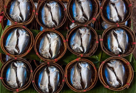 How to Create a Weather-Based Custom Fishing Calendar for Indian Fishermen