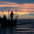 Encroachment of Freshwater Bodies and Its Impact on Indian Fisheries