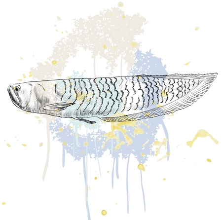 Fisherfolk Lore: Families, Wisdom, and Daily Rituals