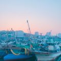Modern Mumbai Fisherfolk: Tradition and Change along the Arabian Sea Coast