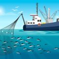 Legal Rules & Licensing Process for Commercial Fishing in India