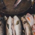 Special Indian fish dishes made from river Ganga’s fresh catch by the ghats
