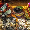 Tribal Fishing Games & Food Traditions in Madhya Pradesh India
