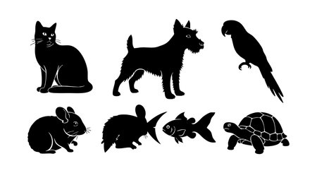 Environmental Factors Influencing Adaptation